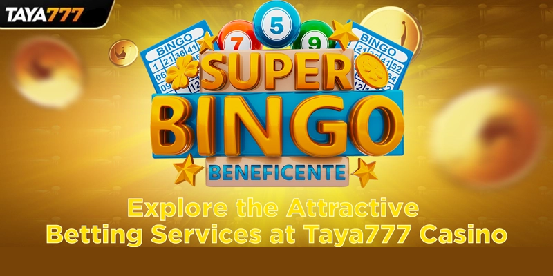 How to Get Started with Bingo Casino at Taya777