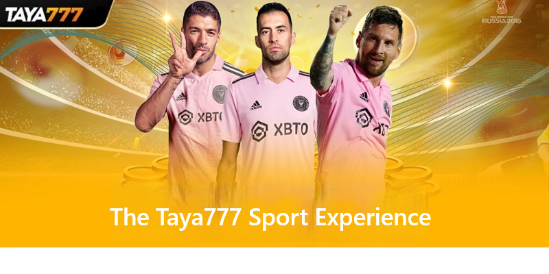 The Taya777 Sport Experience